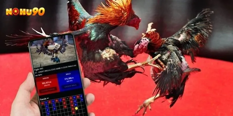 đá gà cựa sắt là gì