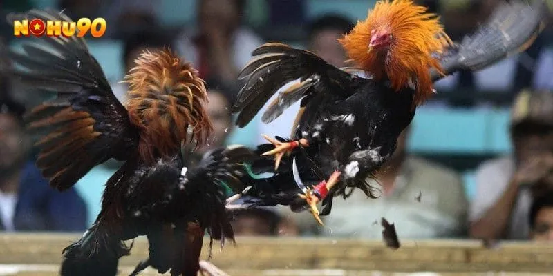 Phân biệt đá mé với các lối đá khác